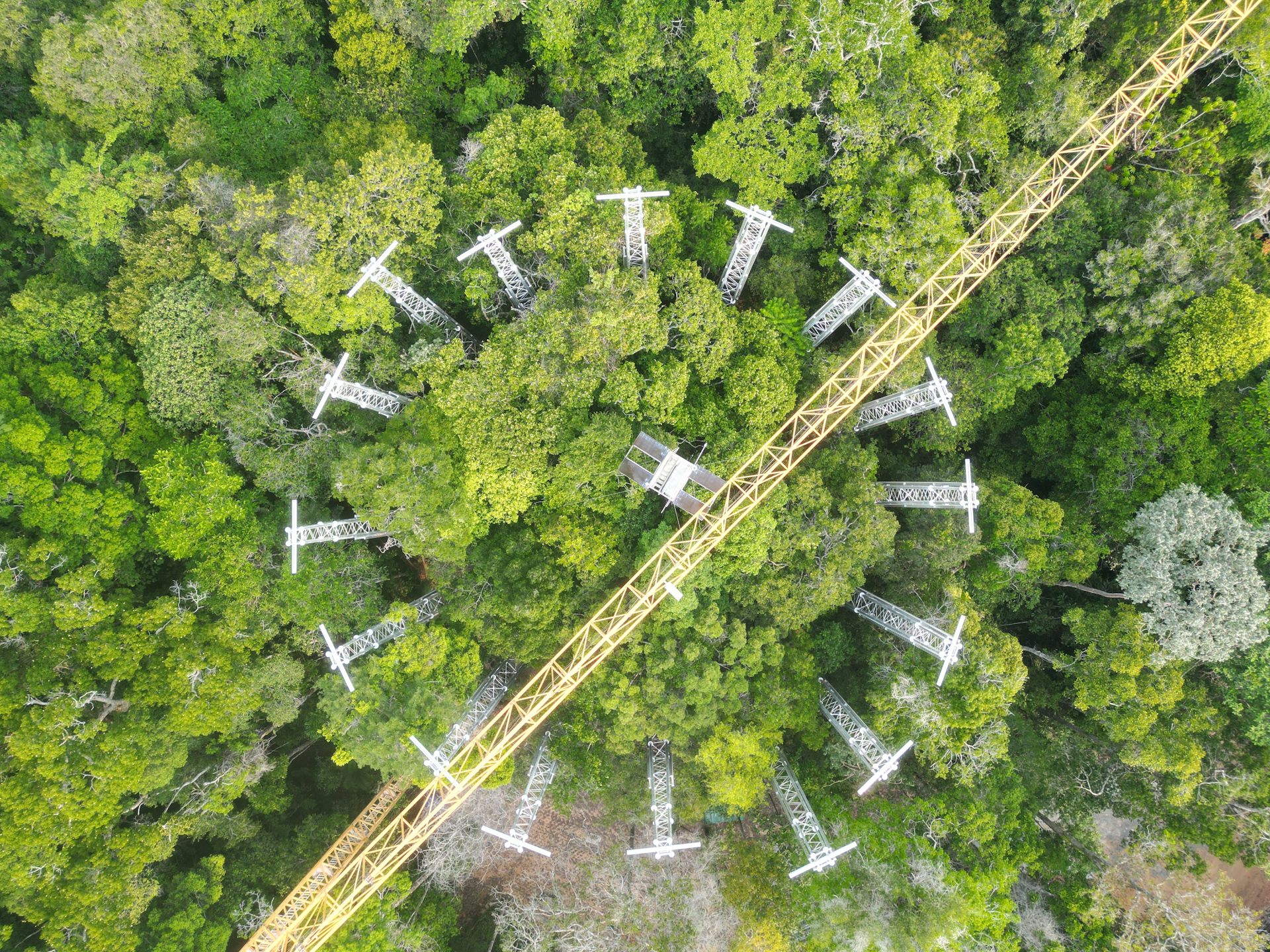 Um círculo de torres numa área de floresta visto de cima