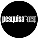 Fapesp, Pesquisa